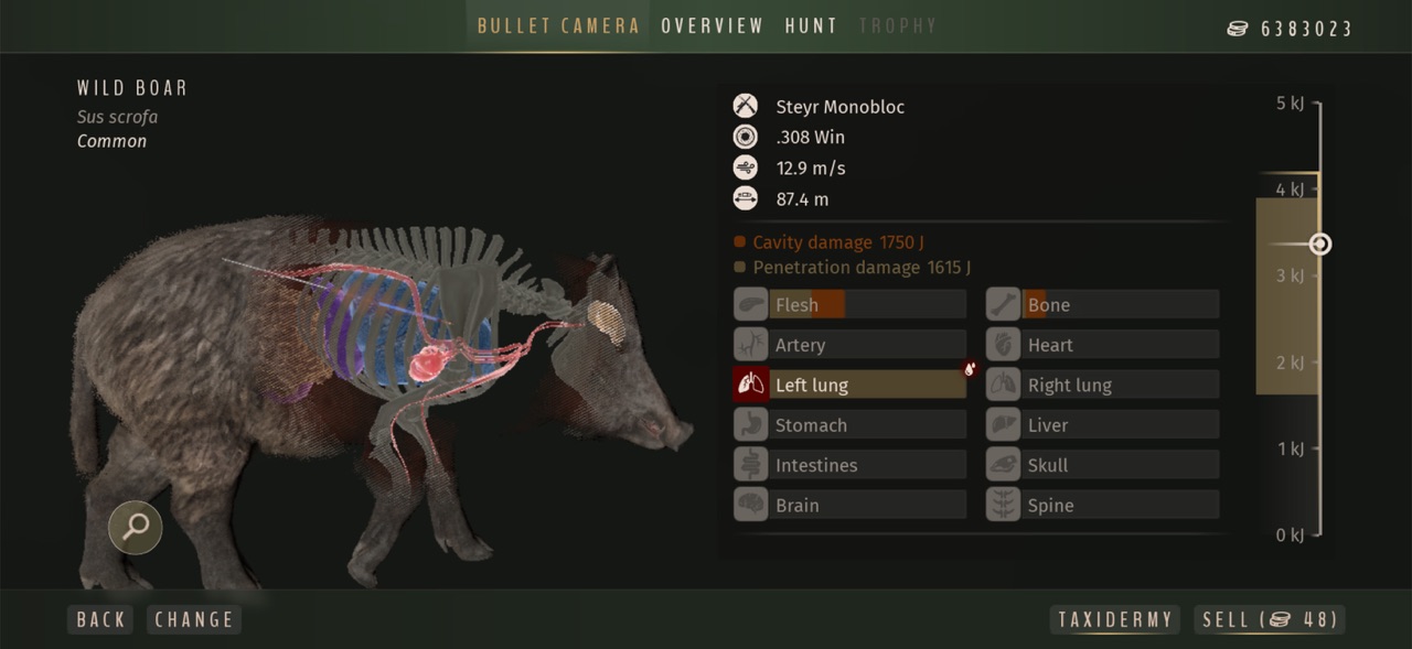 图片[5]-猎人之路欧洲：Way of the Hunter Wild Europe-小浣熊游戏网络科技