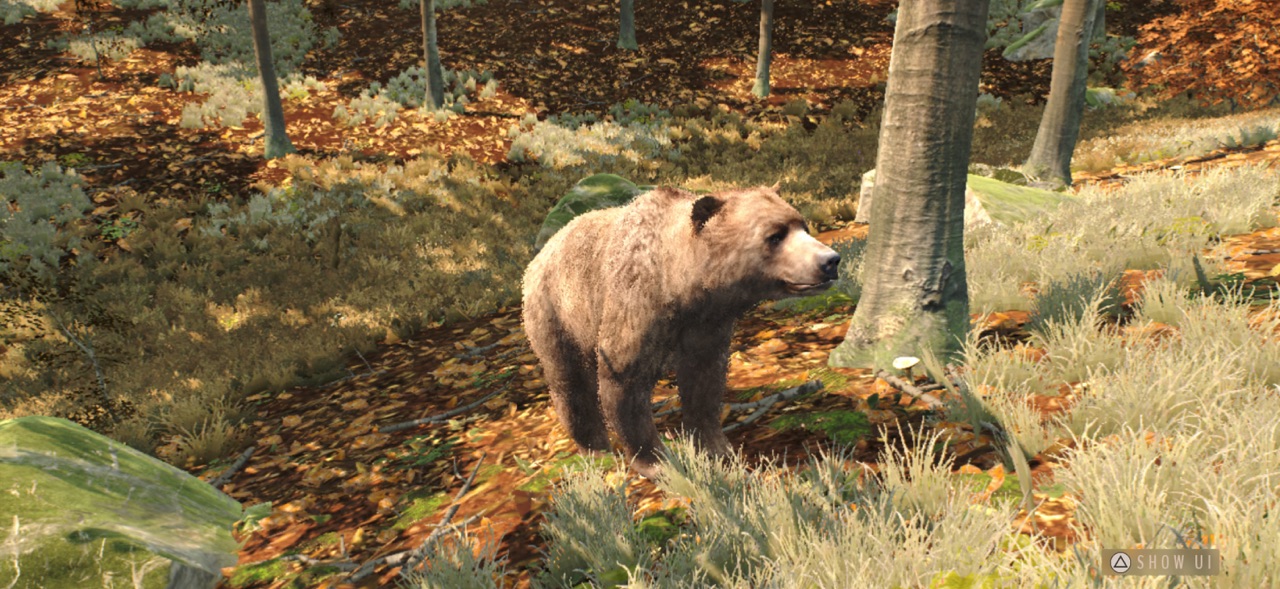 图片[2]-猎人之路欧洲：Way of the Hunter Wild Europe-小浣熊游戏网络科技