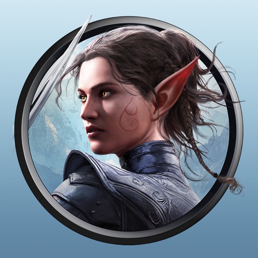 （只支持iPad）神界原罪2—Divinity – Original Sin 2-小浣熊游戏网络科技